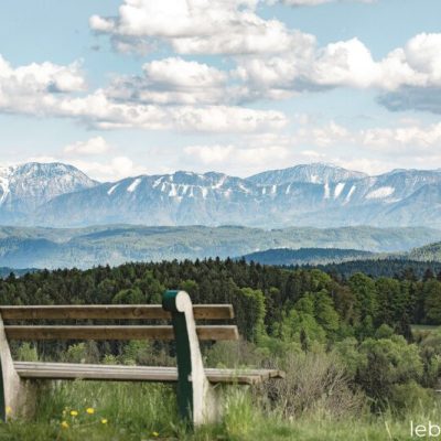 Wald und Wiese Moosburg zum Verkauf