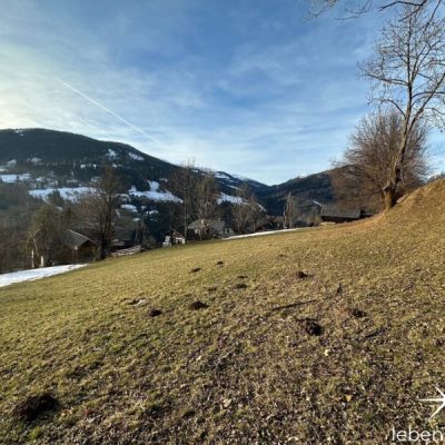 Grundstück - Ausrichtung Westen.