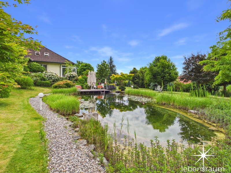 Schwimmteich.
